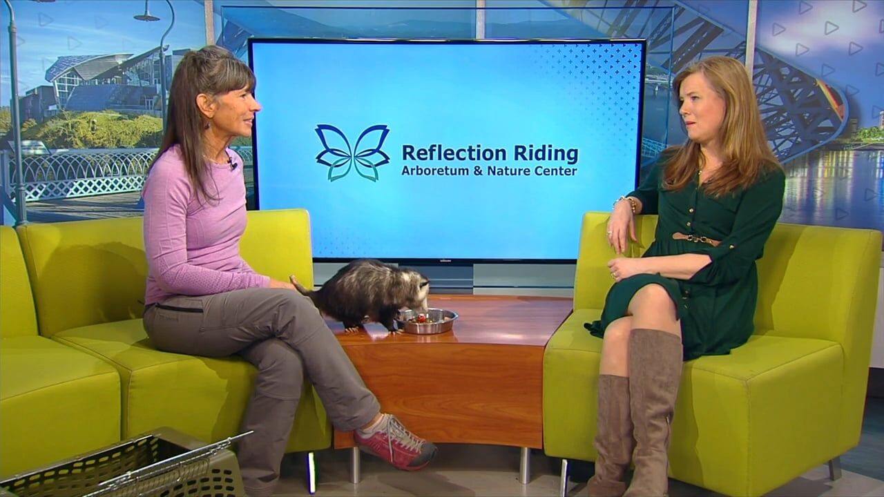 3 Plus Your Community- Reflection Riding